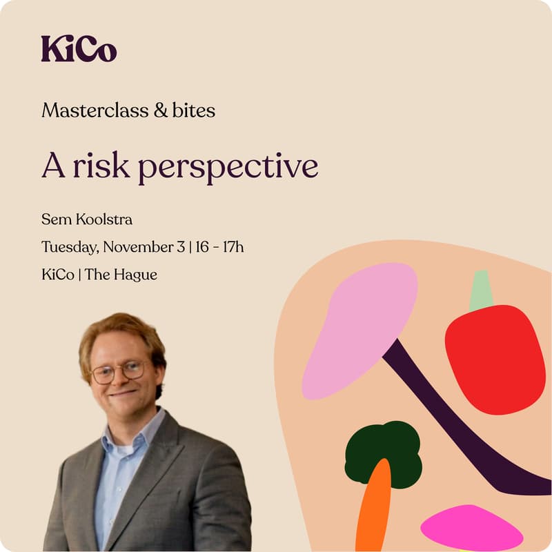 Cover Image for A risk perspective by Sem Koolstra