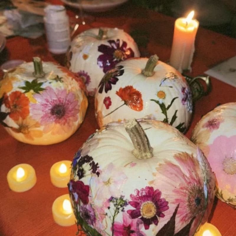 Cover Image for Pressed Flowers & Pumpkins: The Ultimate Fall Workshop 🎃🌼🧡