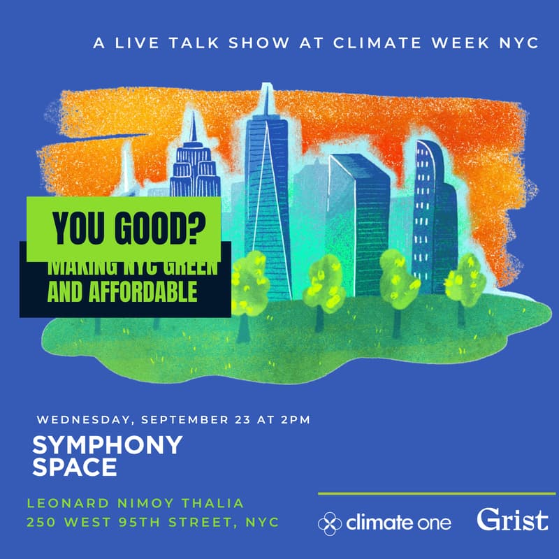 Cover Image for You Good? Making NYC Green And Affordable
