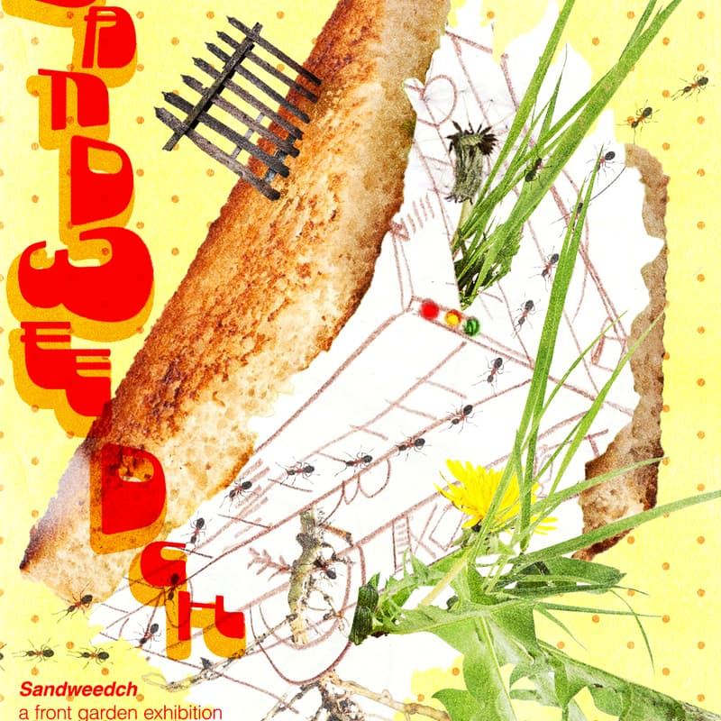 Cover Image for Sandweedch