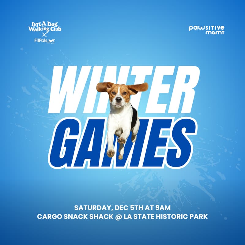 Cover Image for DTLA DOG WALKING CLUB × PAWSITIVE MGMT — WINTER GAMES 2026