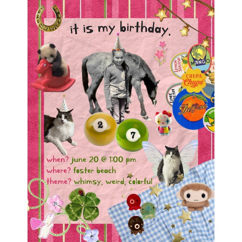Cover Image for rimsh birth (27)