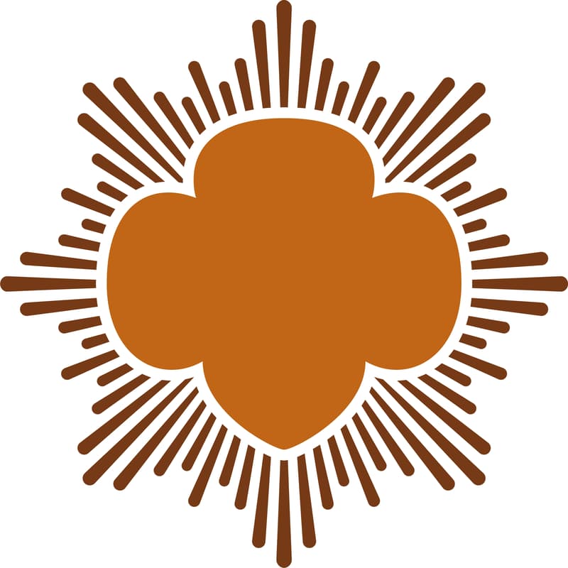 Cover Image for Virtual Bronze Award Information Session