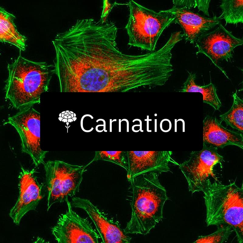 Cover Image for Carnation Lunch & Learn: Microscopy Image Analysis for Early Discovery