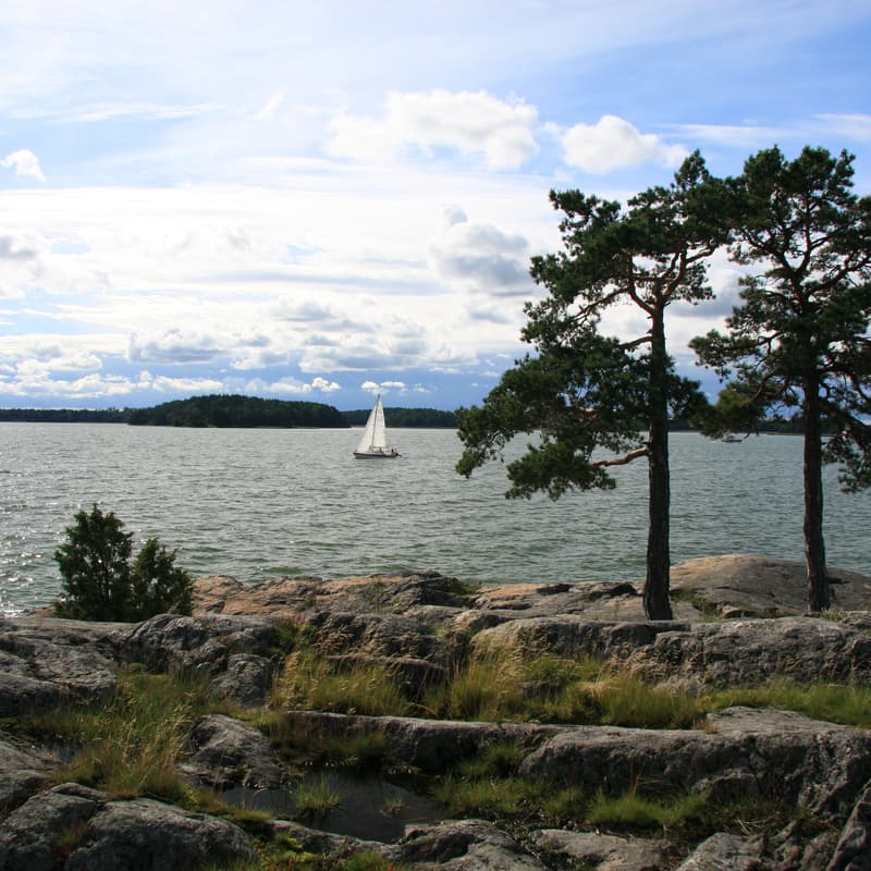 Cover Image for IWT - Water Bus Trip to Ruissalo