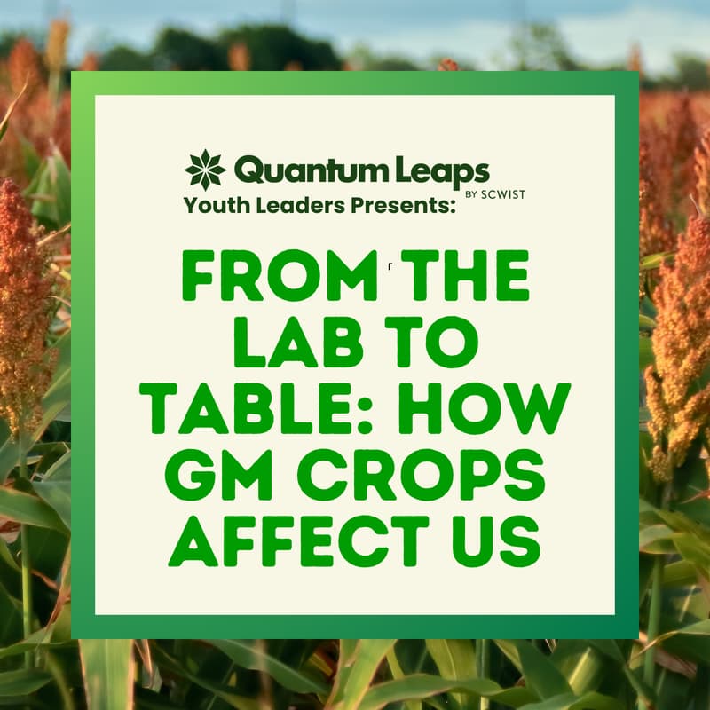 Cover Image for From the Lab to Table: How GM Crops Affect Us
