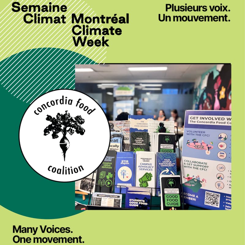 Cover Image for CFC Food Security Fair