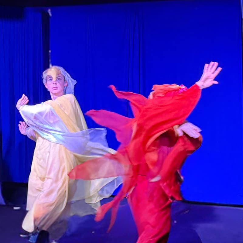 Cover Image for Pacific Eurythmy + Novalis Branch Workshop 2 and Potluck