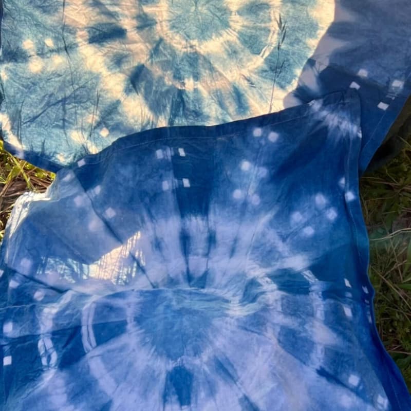 Cover Image for INDIGO For BIPOC Community