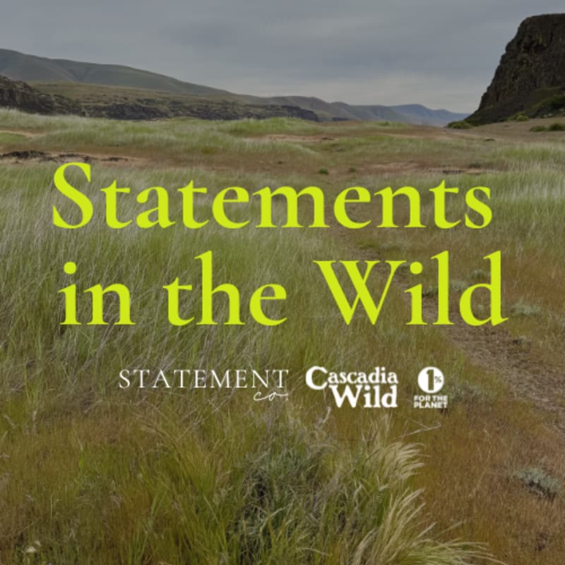 Cover Image for Statements In the Wild