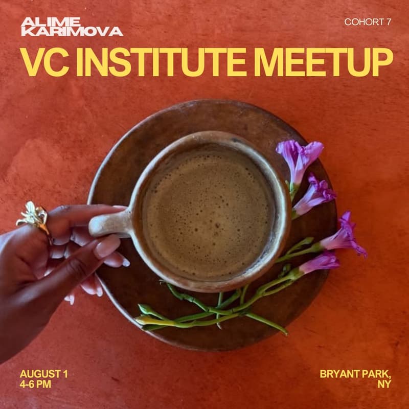 Cover Image for VC Institute Meet-up
