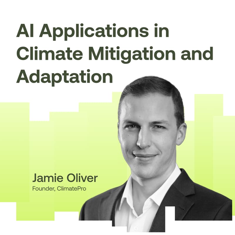 Cover Image for AI Applications In Climate Migration And Adaptation
