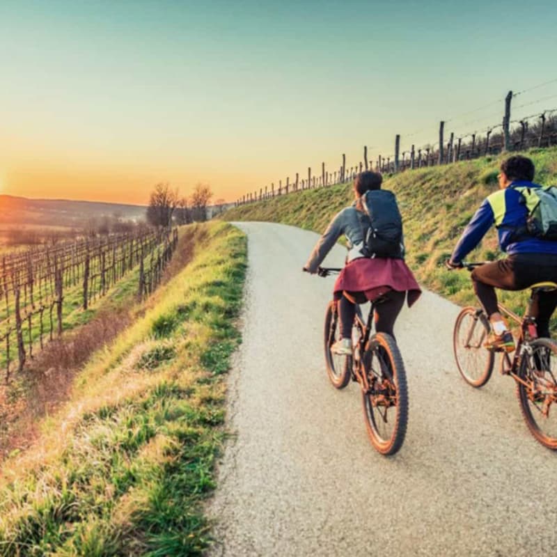 Cover Image for Napa on Two Wheels 🚲🍷+ Group Lunch