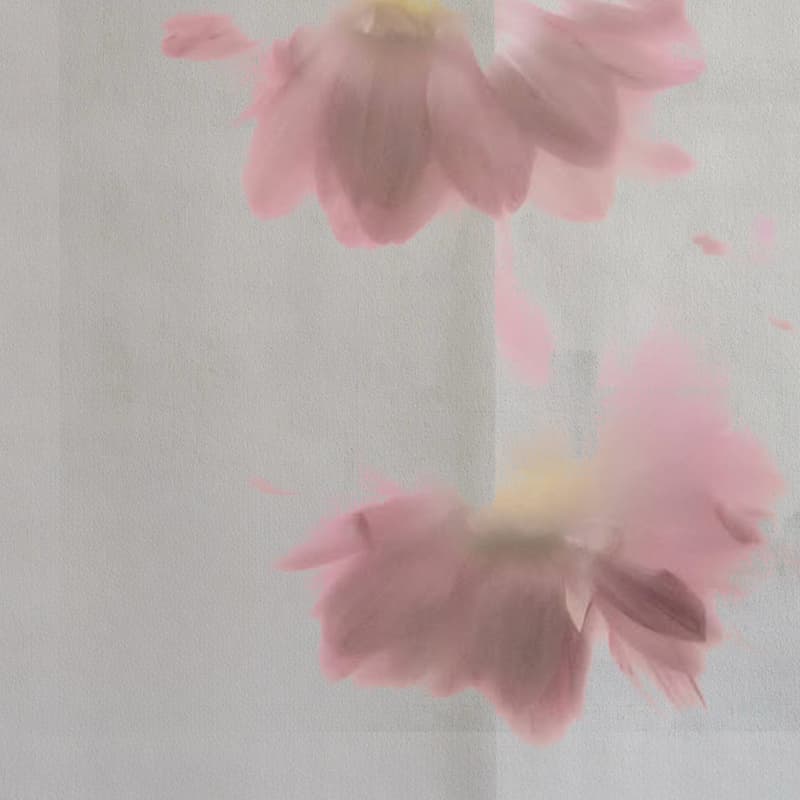 Cover Image for Sip N' Floral: Analog Futures Workshop