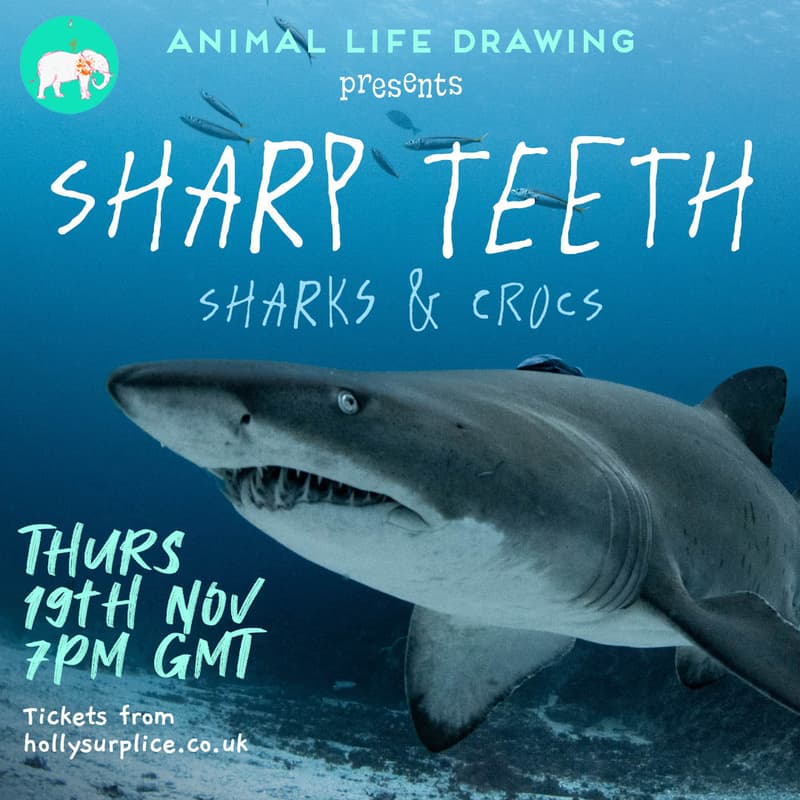 Cover Image for Sharp Teeth: Sharks & Crocs
