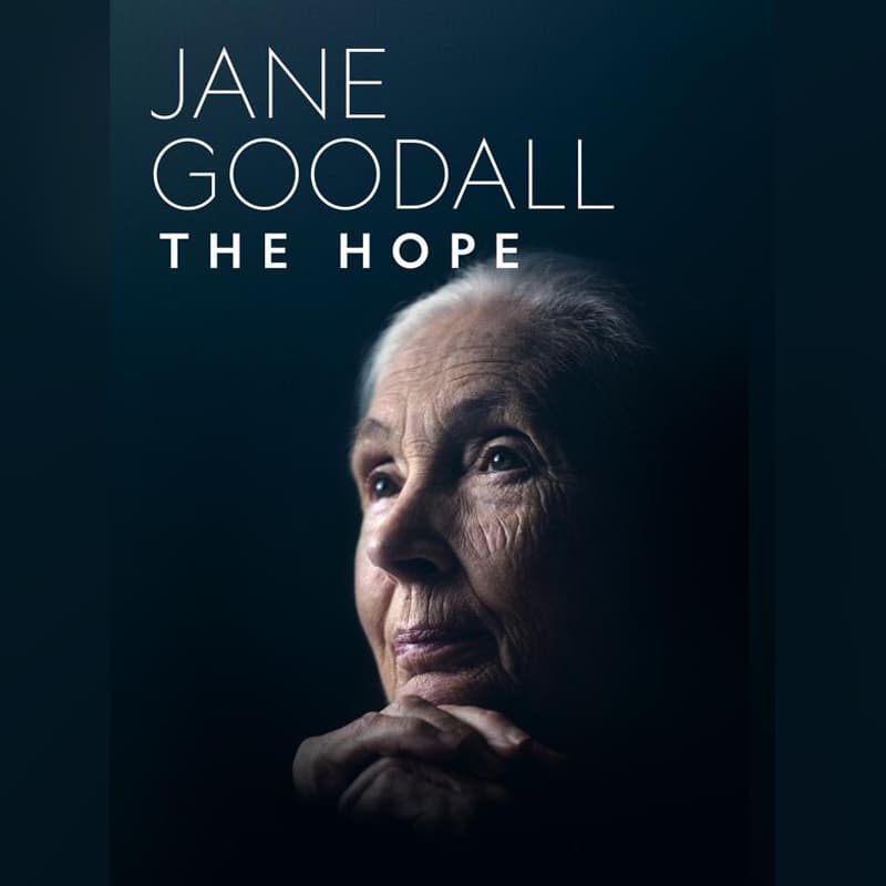Cover Image for HCM #53 Documentary: Dr Jane Goodall The Hope