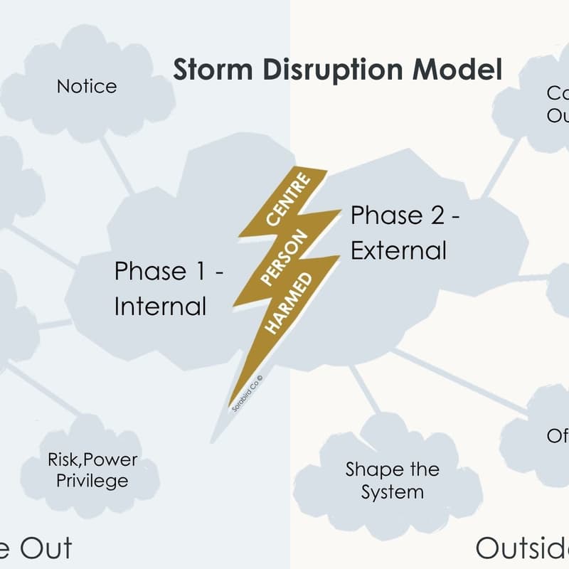 Cover Image for Empowering Inclusion: Disrupting the Storm