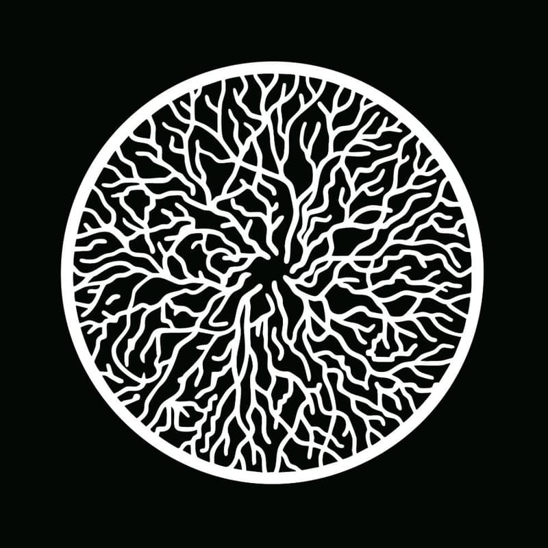 Cover Image for Regen Commons May Community Call