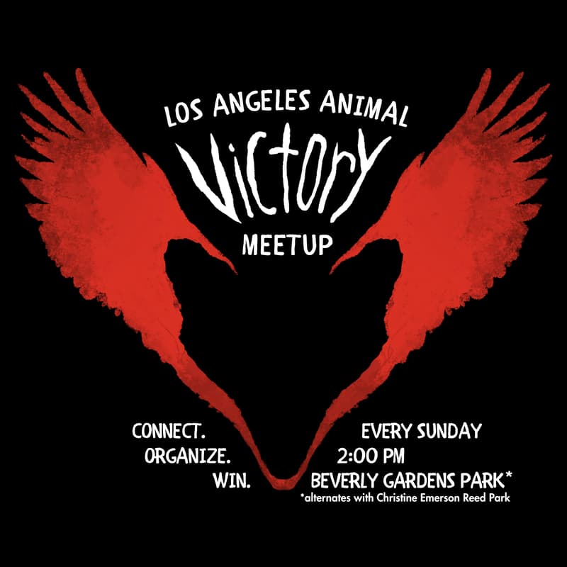 Cover Image for Abolish Fur - LA Animal Victory Meetup