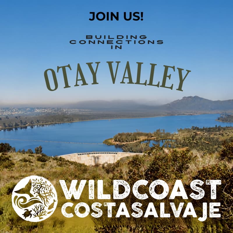 Cover Image for Pines to Playas: A Bioregional Watershed Vision for the Otay Valley Regional Park