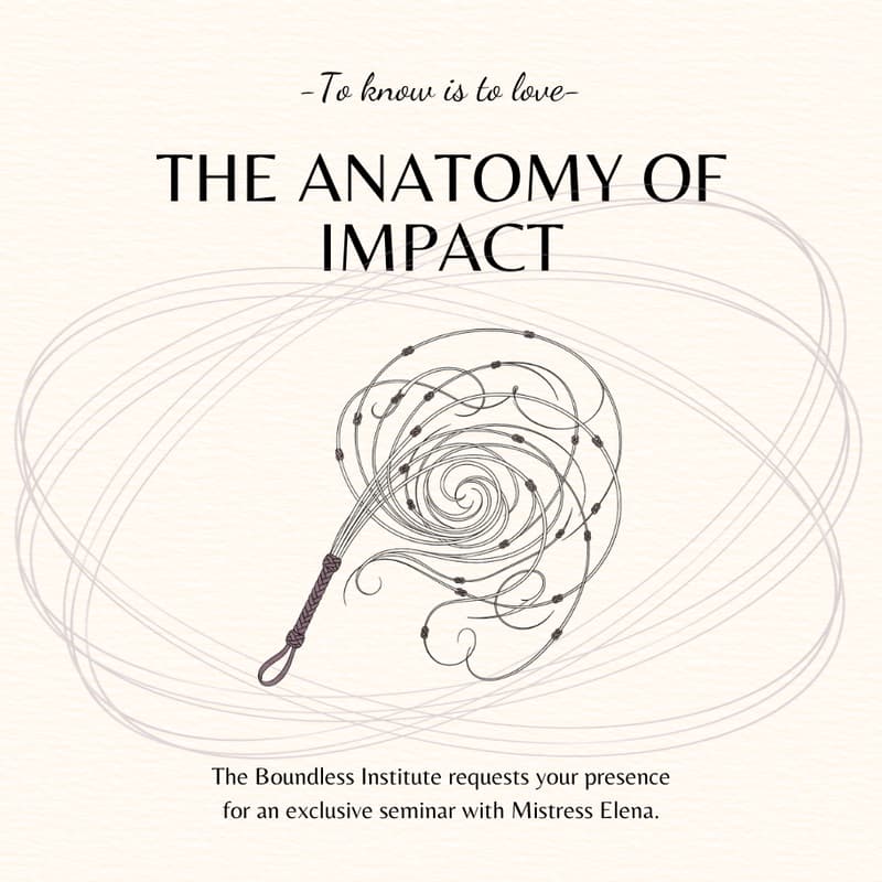 Cover Image for The Anatomy of Impact