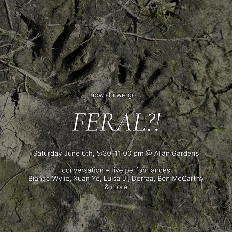 Cover Image for FERAL?!