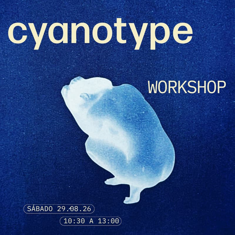 Cover Image for Cyanotype Workshop · Create Images with the Sun