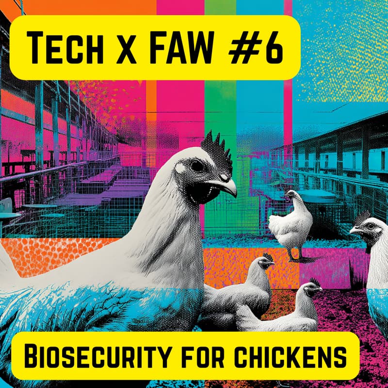 Cover Image for Tech x FAW # 6: Biosecurity for chickens (ft. Sentient Social)