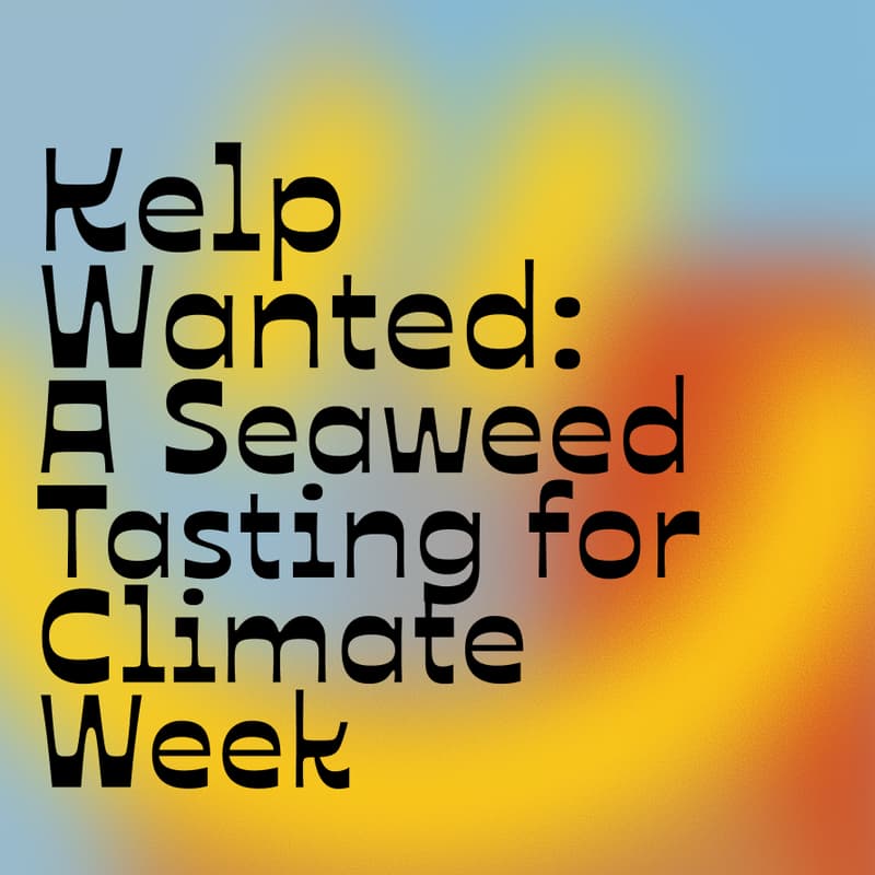 Cover Image for Kelp Wanted: A Seaweed Tasting for Climate Week