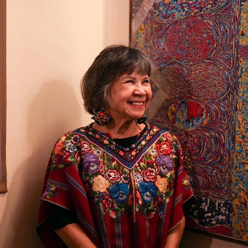 Cover Image for Art Show Closing: Encounters by Eva Malhotra