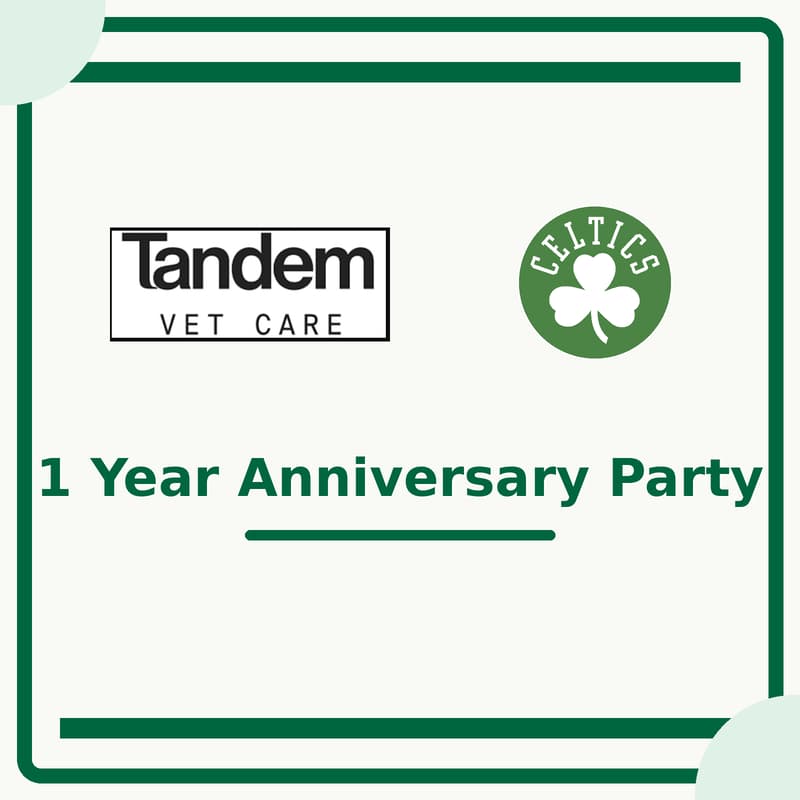 Cover Image for Tandem Vet - 1 Year Anniversary - Celtics Extravaganza