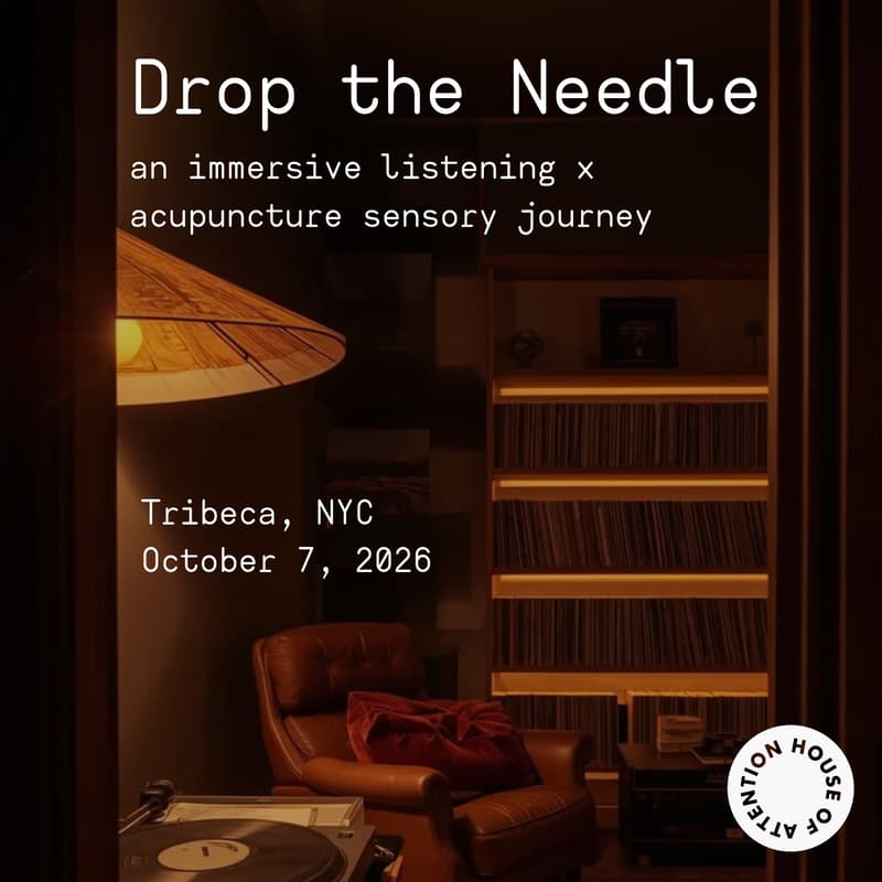 Cover Image for Drop the Needle — NYC