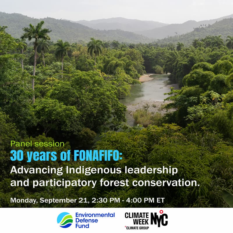 Cover Image for 30 years of FONAFIFO: Advancing Indigenous leadership and participatory forest conservation