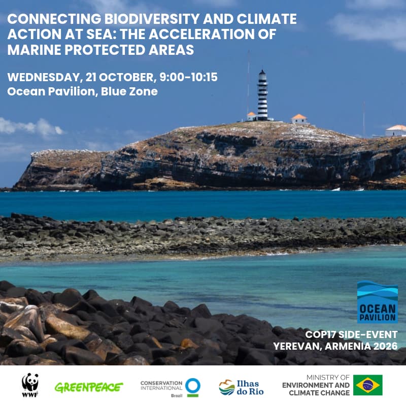Cover Image for Connecting Biodiversity and Climate Action at Sea: The Acceleration of Marine Protected Areas