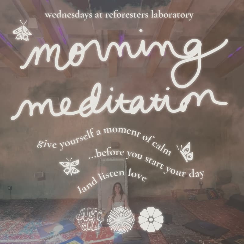 Cover Image for LOVE: 8 WEEKS OF LOVING-KINDNESS