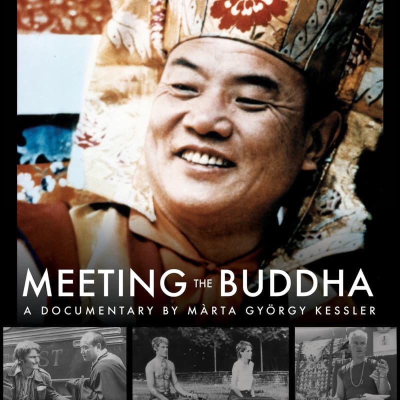 Cover Image for UK Premiere: Meeting the Buddha
