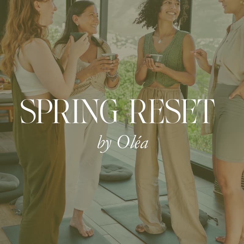 Cover Image for Spring Reset for Women in Workers' Compensation by Oléa (Orlando Edition)