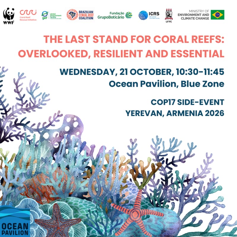 Cover Image for The Last Stand for Coral Reefs: Overlooked, Resilient and Essential