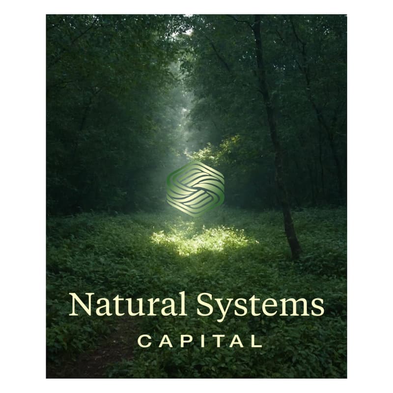 Cover Image for Natural Systems Capital | GIIN Bier & Bitterballenborrel