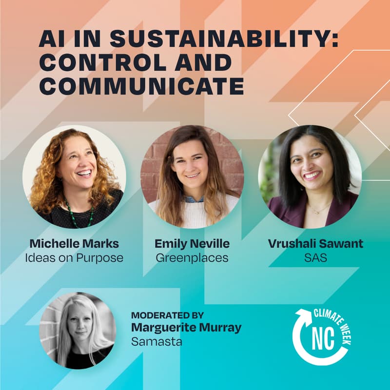 Cover Image for AI in Sustainability: Control and Communicate