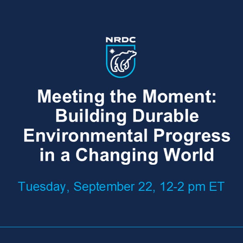 Cover Image for Meeting the Moment – Building Durable Environmental Progress in a Changing World