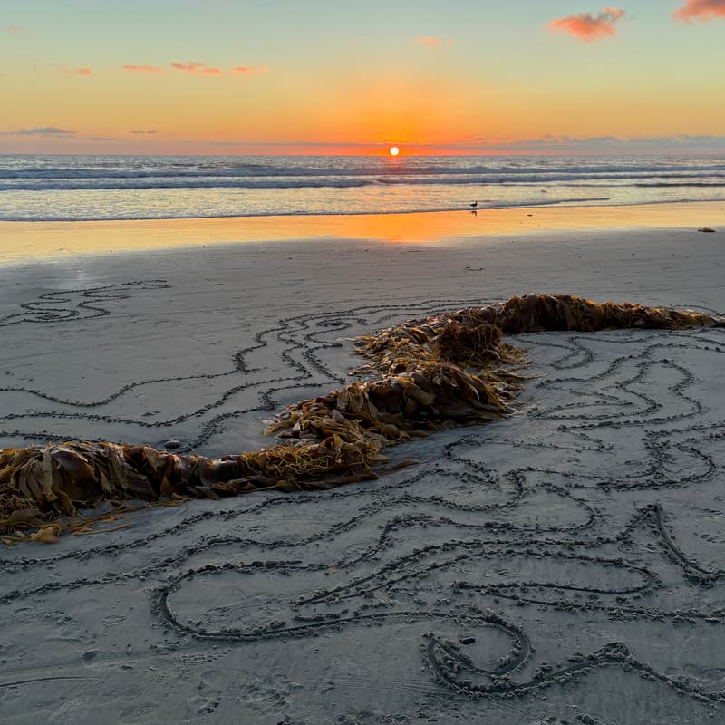 Cover Image for Create Sand Swirls