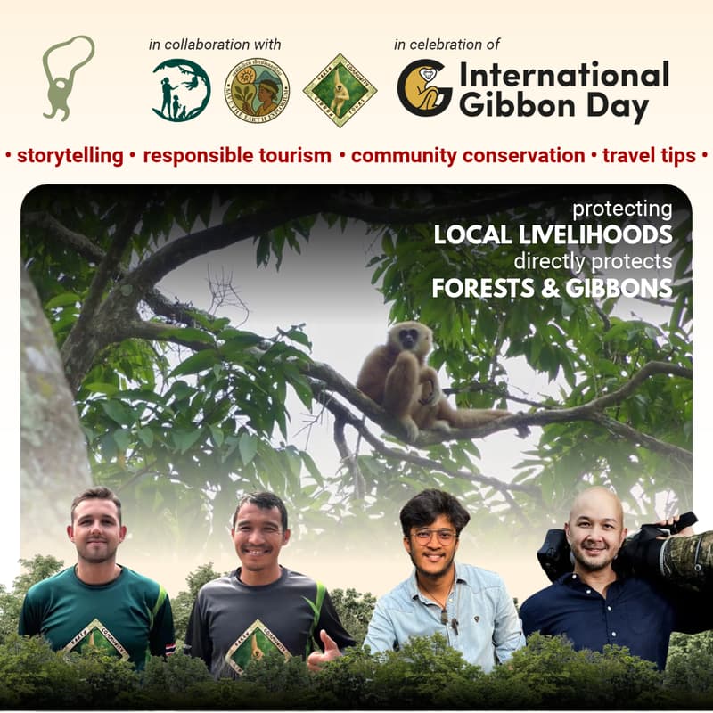 Cover Image for Gibbon Watching and Listening: Voices of the Forests