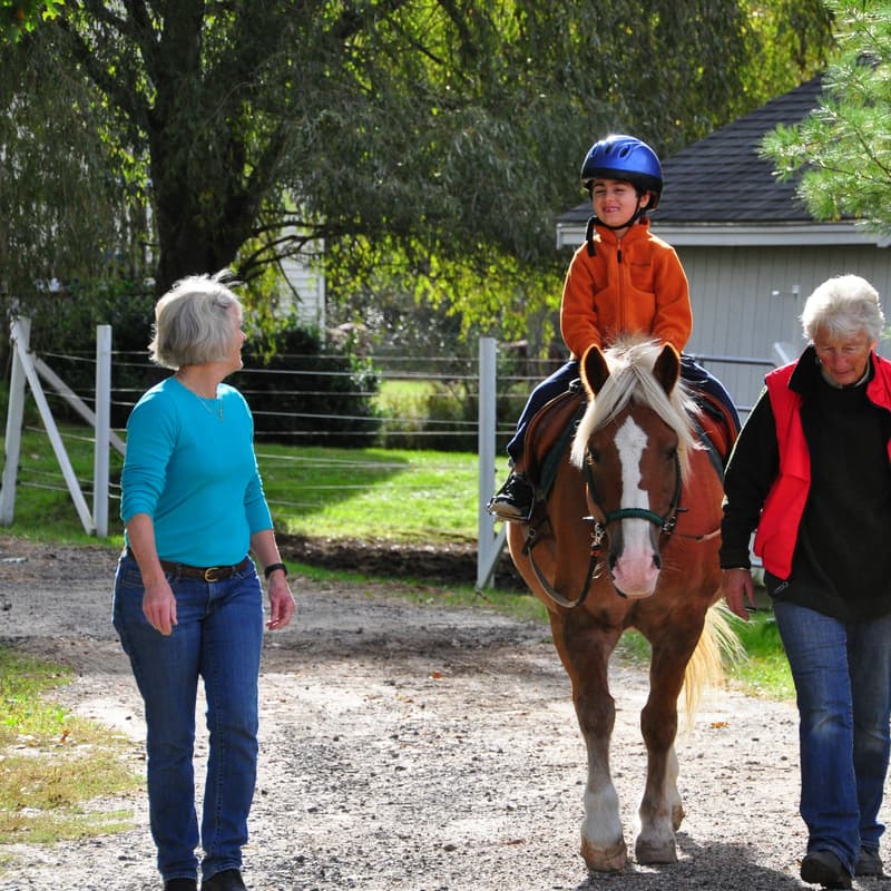 Cover Image for Riding to the Top