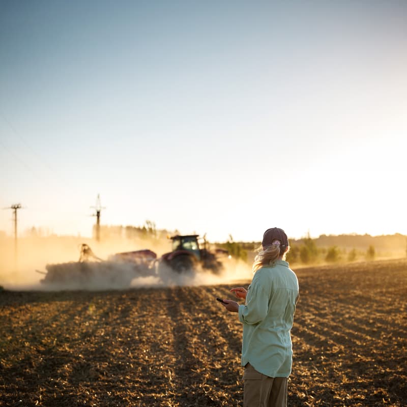 Cover Image for Growing with AI: Practical Innovation in Agriculture