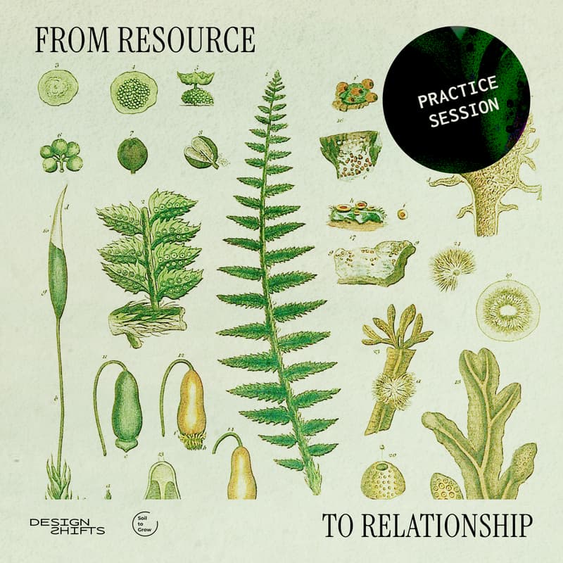 Cover Image for From Resource to Relationship: Shifting away from separation