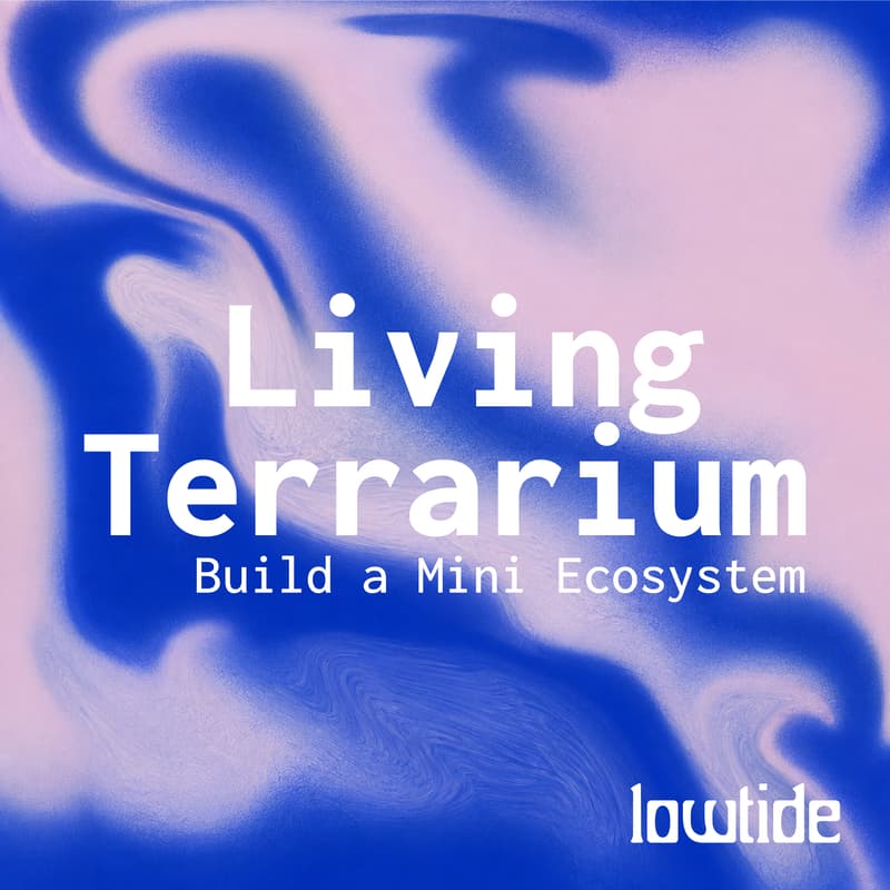 Cover Image for Living Terrarium: Build a Mini Ecosystem