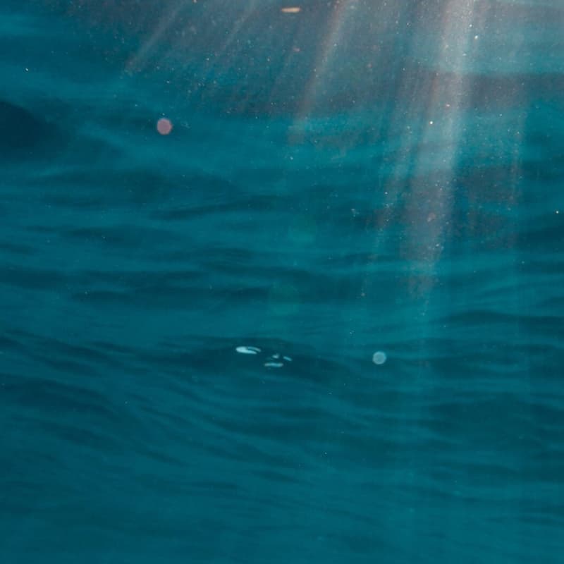 Cover Image for Making the Invisible Visible: Microplastics off the Massachusetts Coast