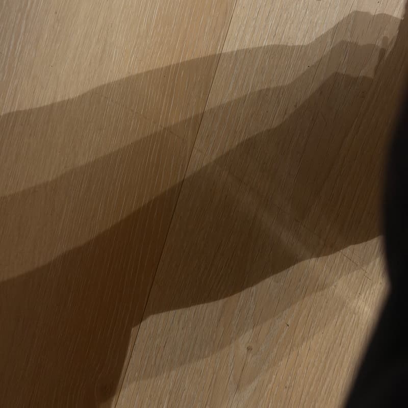 Cover Image for Oakland Noticing Club: Shadows