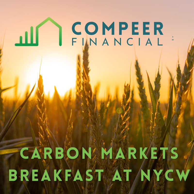 Cover Image for US-Based Carbon Projects Networking Breakfast